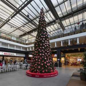 Home 37 2 DSC4443 RenataVesely Lingotto cbbdd01e